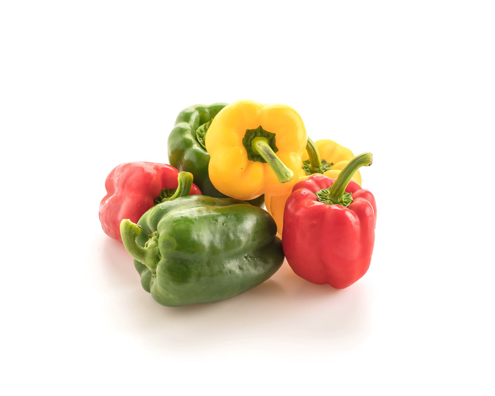 Masader Harvest