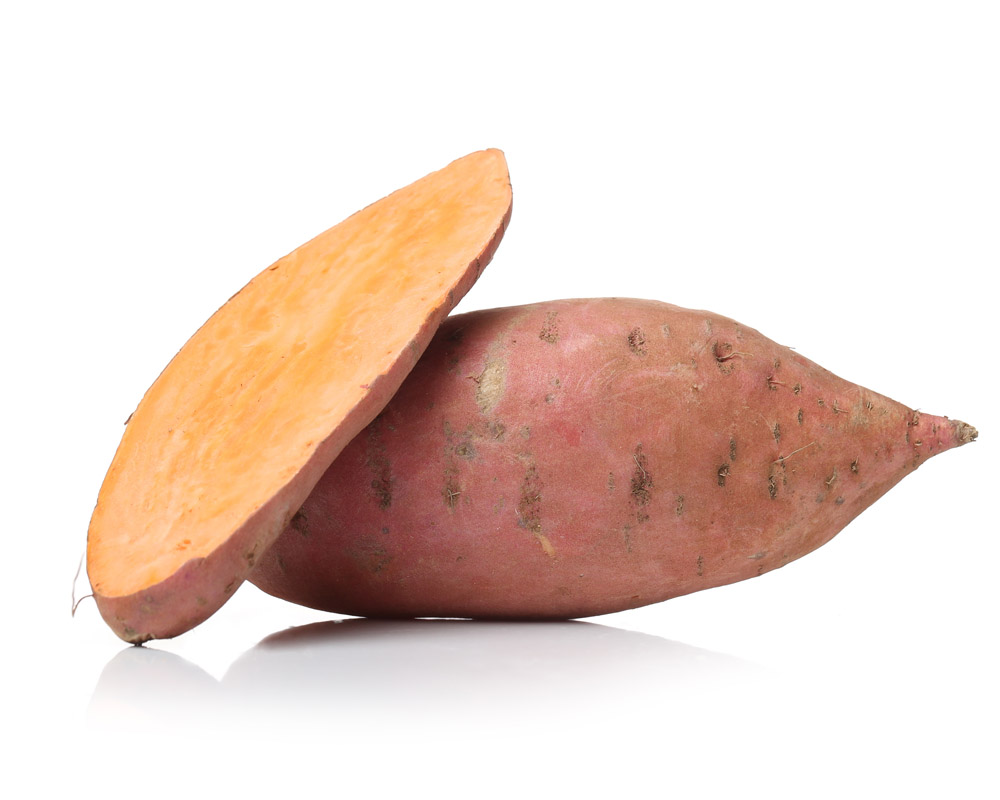 Masader Harvest