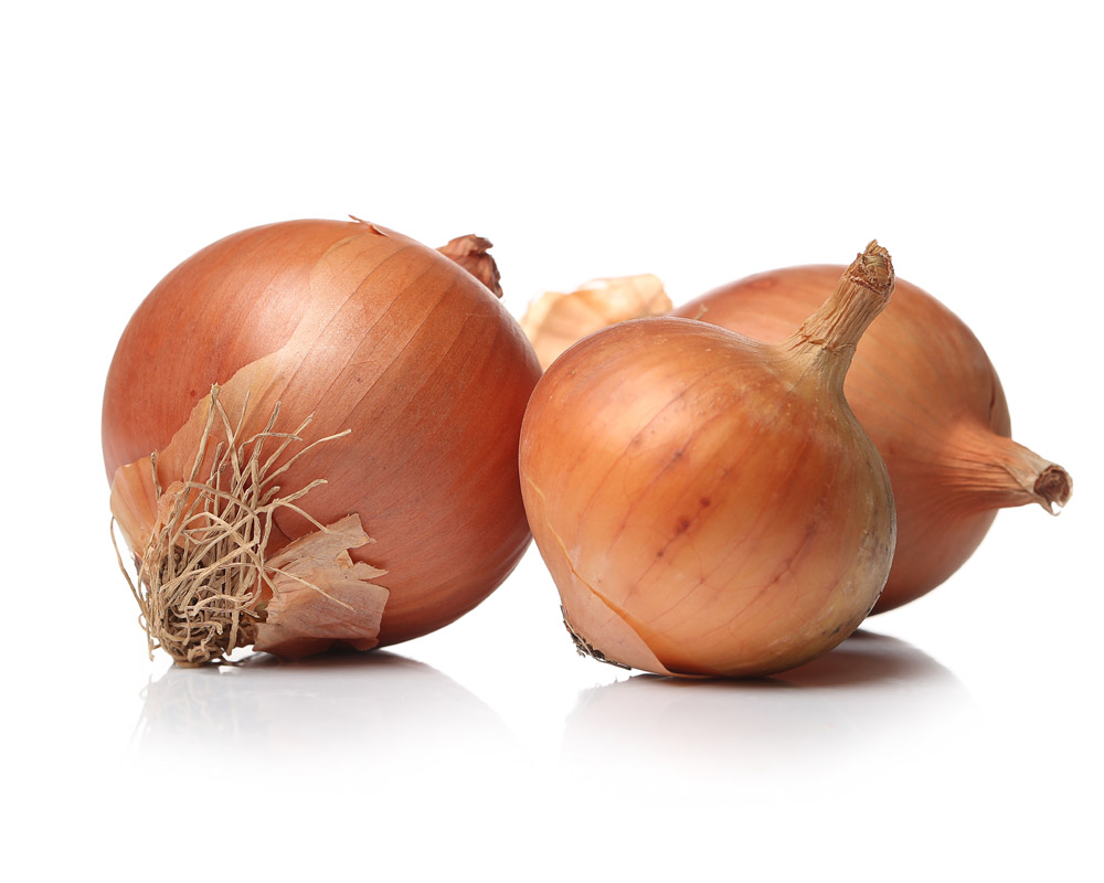 Masader Harvest