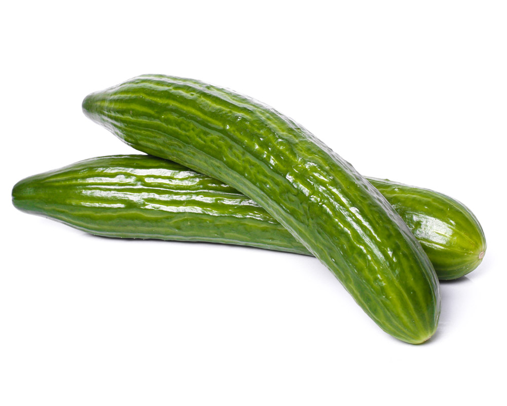 Masader Harvest