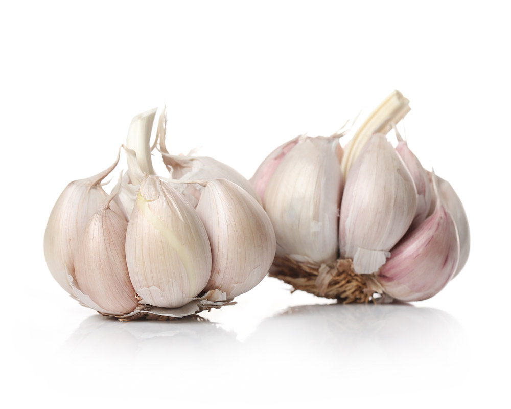 Masader Harvest