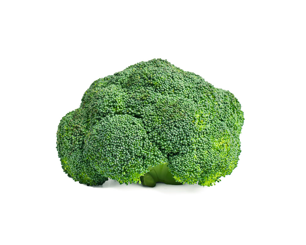 Masader Harvest